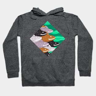 Sharks new color Hoodie